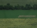 IMG 4161