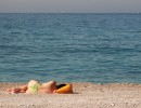IMG 4217