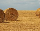 IMG 7960b