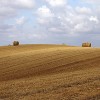 IMG 7984b