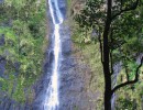 IMG 0889