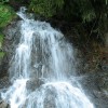 IMG 2899