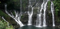 IMG 5482