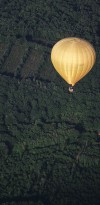 IMG 7881