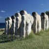 IMG 9191