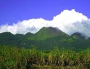 IMG 0864
