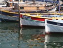 IMG 4265