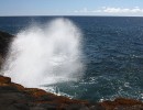 IMG 4395