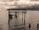 IMG 4519