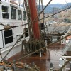 IMG 4637