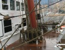 IMG 4637