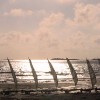 img 0786