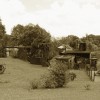 IMG 0722