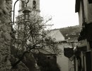 IMG 4199