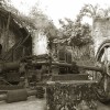 IMG 5899