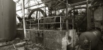 IMG 9104