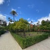 real alczar de sevilla 49049995531 o