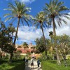 real alczar de sevilla 49049995576 o