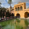 real alczar de sevilla 49050207442 o