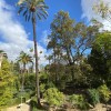 real alczar de sevilla 49050207502 o