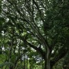 9j9a6052 25441790913 o