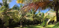 htel maritim crystal beach 26047342945 o