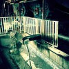 IMG 9862