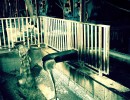 IMG 9862