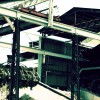 IMG 6557