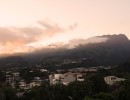 IMG 4536