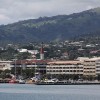 IMG 4561