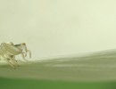 IMG 7546