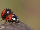 IMG 7880B