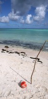 IMG 0584