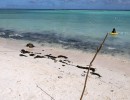 IMG 0584