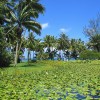 IMG 0767
