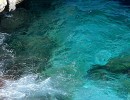 IMG 1454C