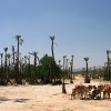 IMG 4438