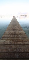 IMG 4685