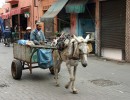 IMG 4997