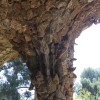 parc gell o
