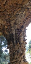 parc gell o