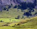 plateau de sommand o