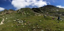 vue du nid daigle o