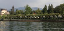 img 4475 o