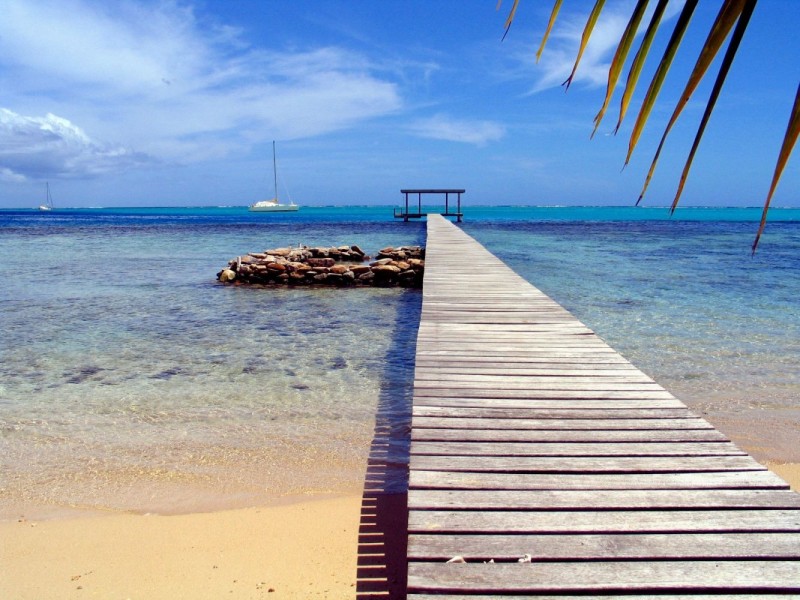 Moorea 2004