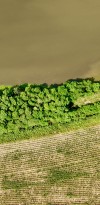 dji fly 20250609 112716 0050 photo
