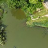 dji fly 20250609 115518 0065 photo