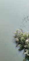 dji fly 20250609 120038 0067 photo