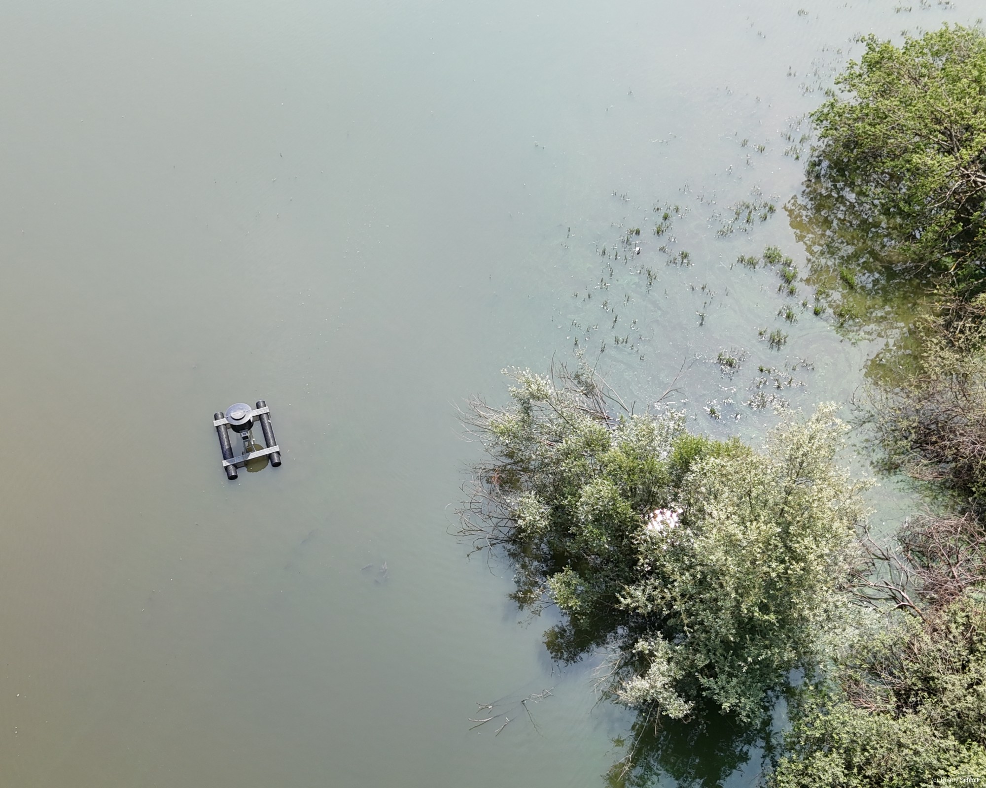 dji fly 20250609 120038 0067 photo